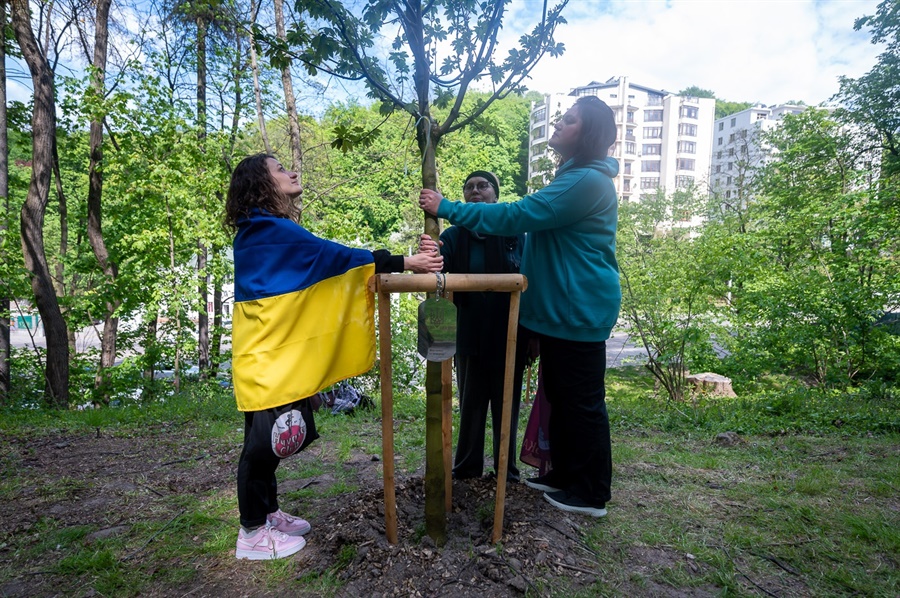 У львівському парку «Залізна Вода» родини загиблих військових висадили Алею пам'яті Героїв  