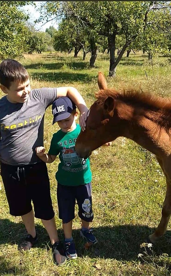 Брати Сичі