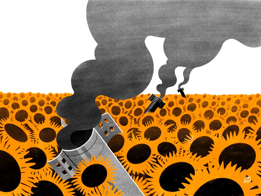 Соняшники і гради.