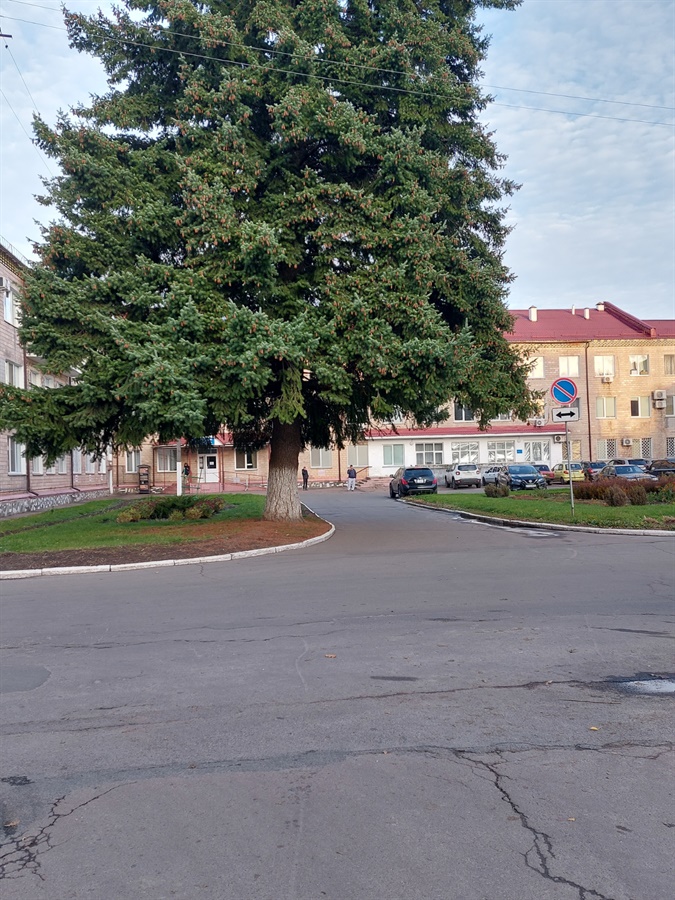Тут була була стежечка з крові, яка тягнулася до самої операційної
